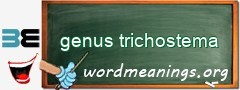 WordMeaning blackboard for genus trichostema